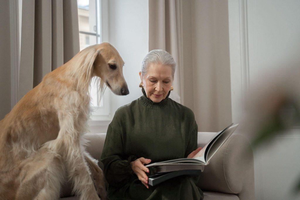 Greyhound dog looking at an elderly woman reading a book